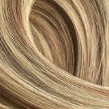 Biscuit Blonde